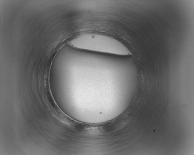 X0000078030499200610271046