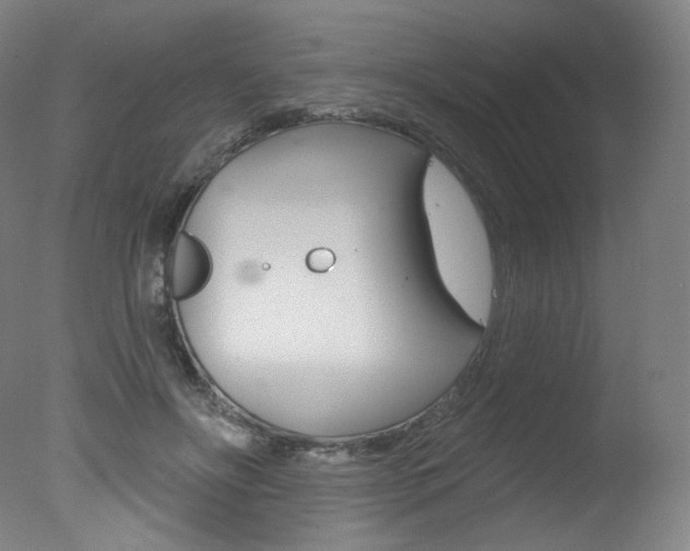 X0000078030502200610271046