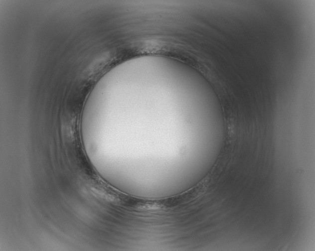 X0000078030503200610271046