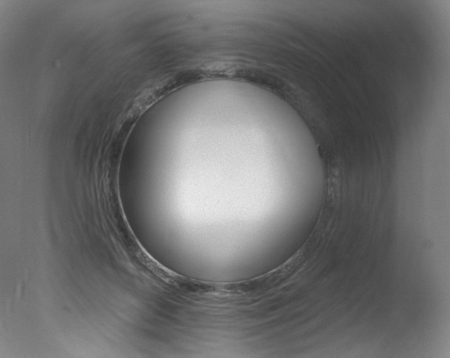 X0000078030504200610271046
