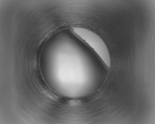 X0000078030508200610271046