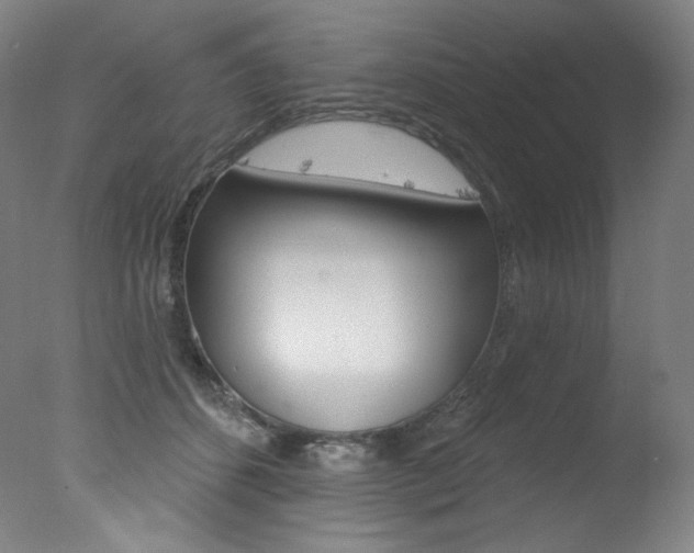 X0000078030512200610271045