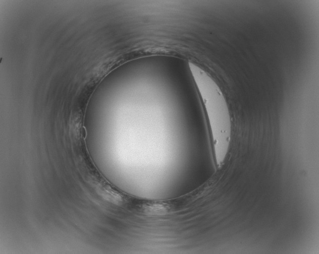X0000078030513200610271045