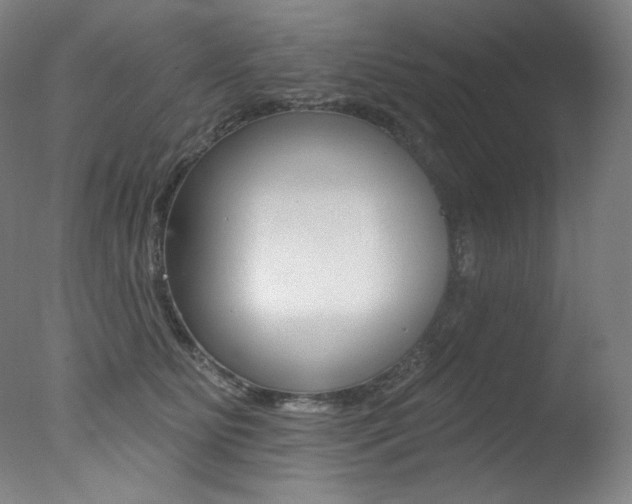 X0000078030515200610271045
