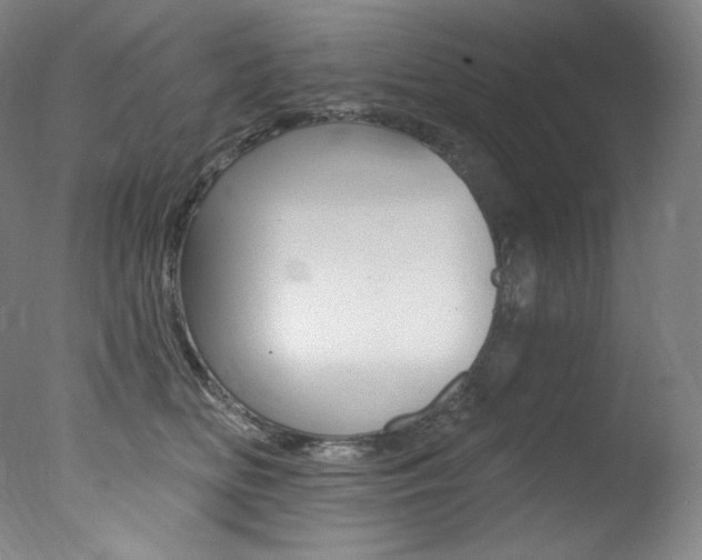 X0000078030518200610271045