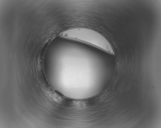 X0000078030520200610271045