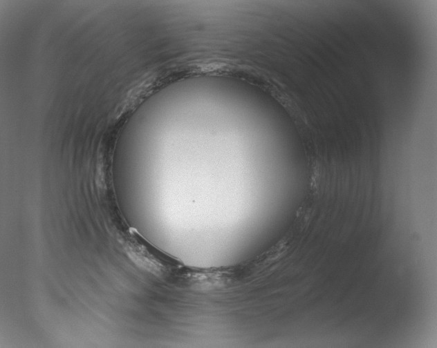 X0000078030524200610271045