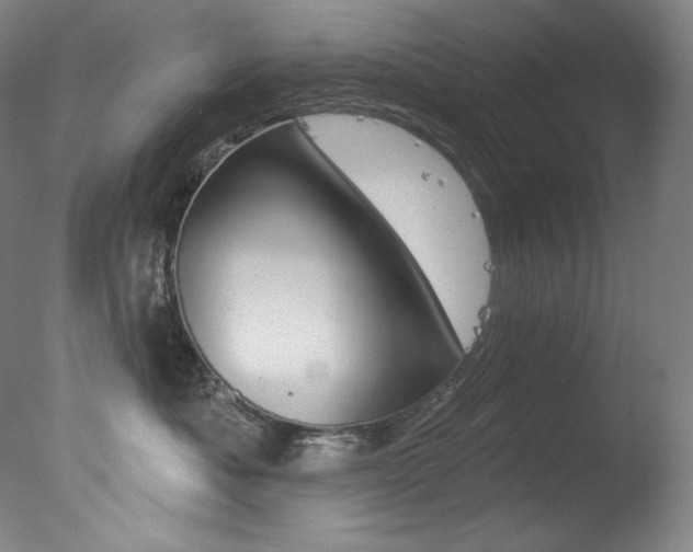 X0000078030525200610271045