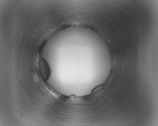 X0000078030526200610271045