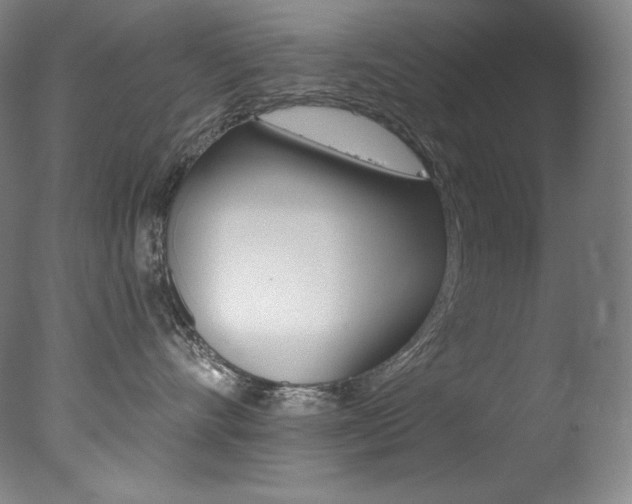 X0000078030528200610271045