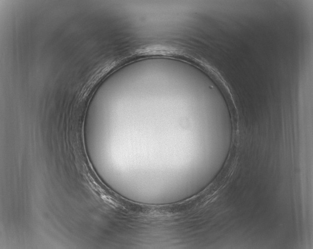 X0000078030529200610271044