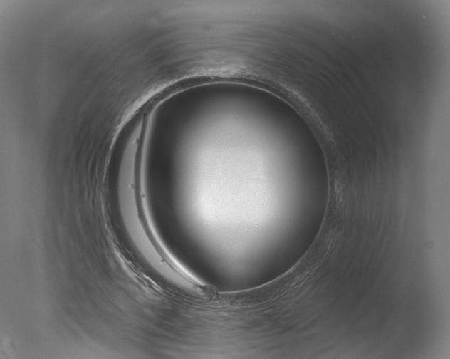 X0000078030532200610271044