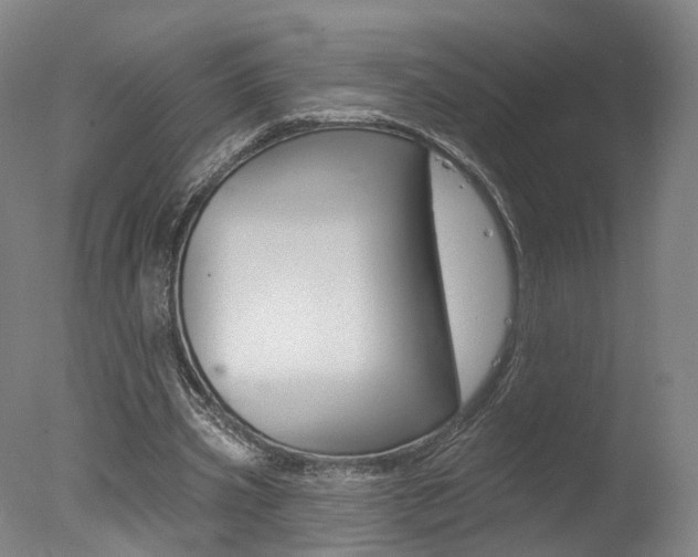 X0000078030533200610271044