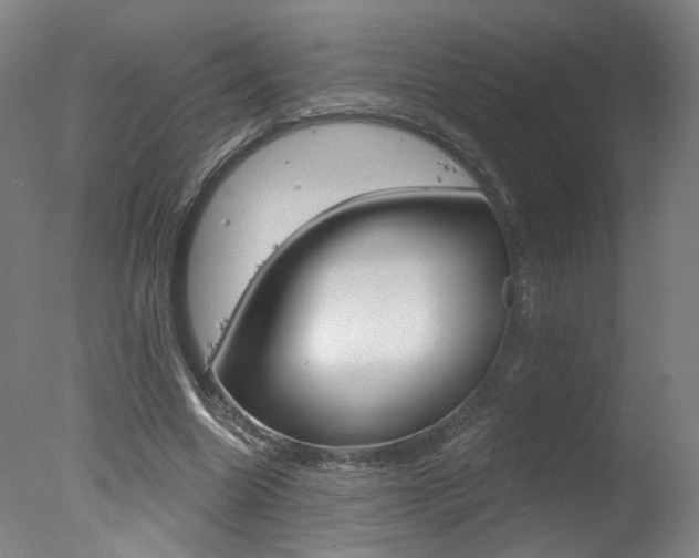 X0000078030538200610271045