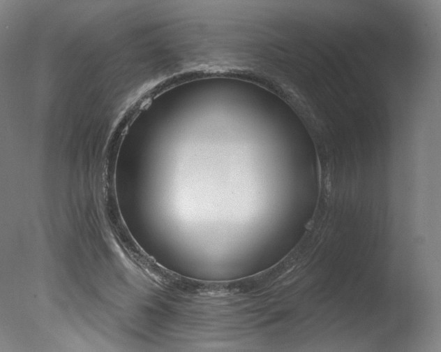 X0000078030540200610271045