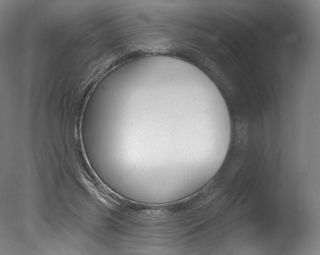 X0000078030541200610271045