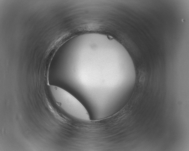X0000078030542200610271045
