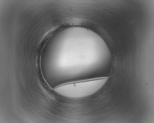 X0000078030543200610271045