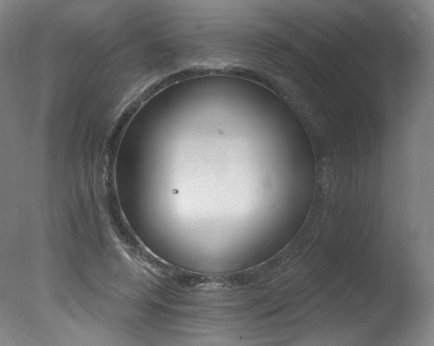 X0000078030544200610271045