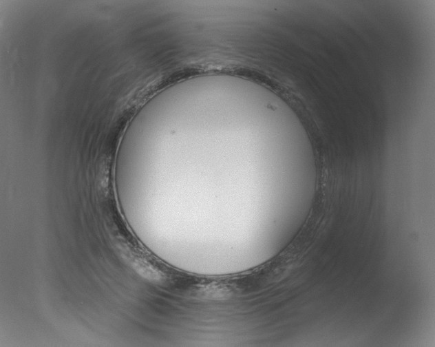 X0000078030545200610271045