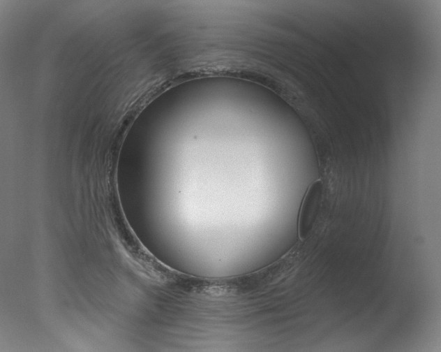 X0000078030546200610271045