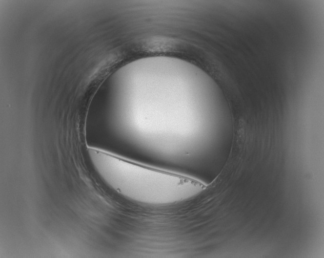 X0000078030547200610271045