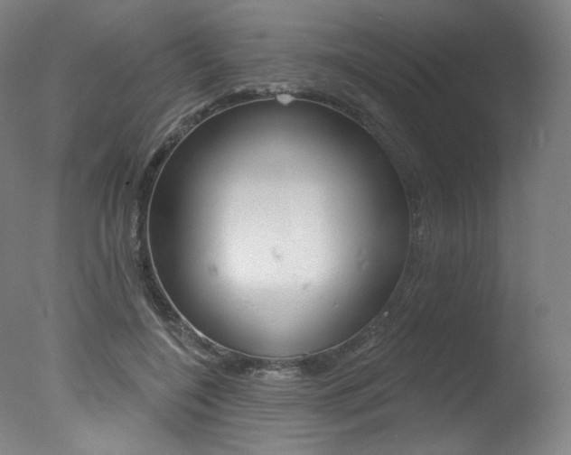 X0000078030548200610271045