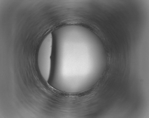 X0000078030549200610271045