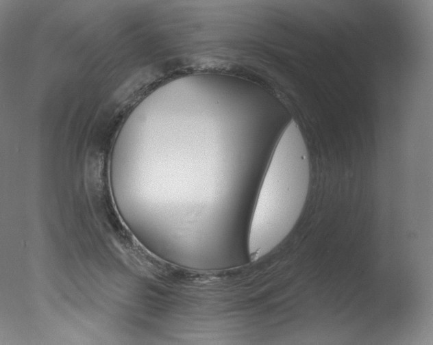 X0000078030550200610271045