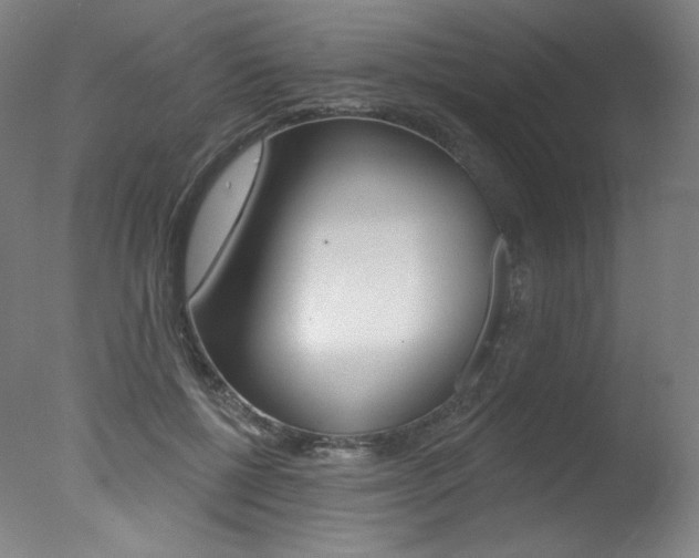 X0000078030552200610271045