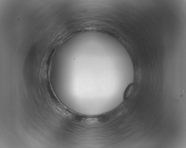 X0000078030554200610271045