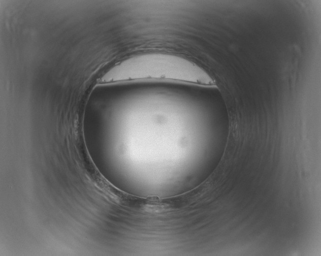 X0000078030556200610271045