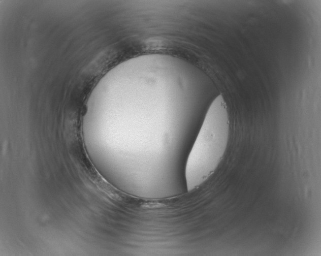 X0000078030557200610271045