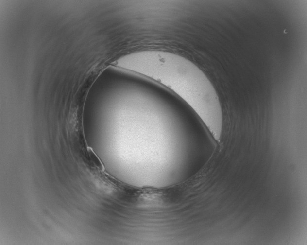 X0000078030560200610271045