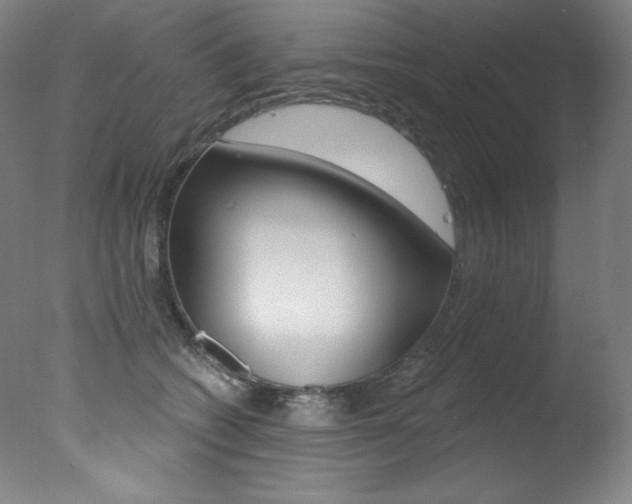 X0000078030562200610271045