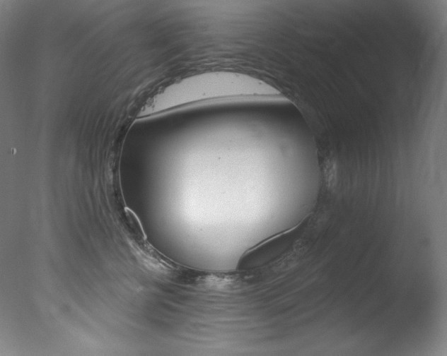 X0000078030570200610271045