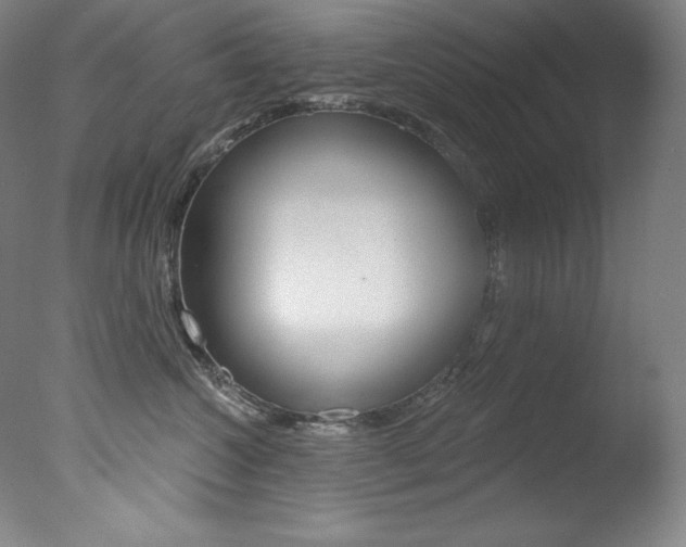 X0000078030572200610271045