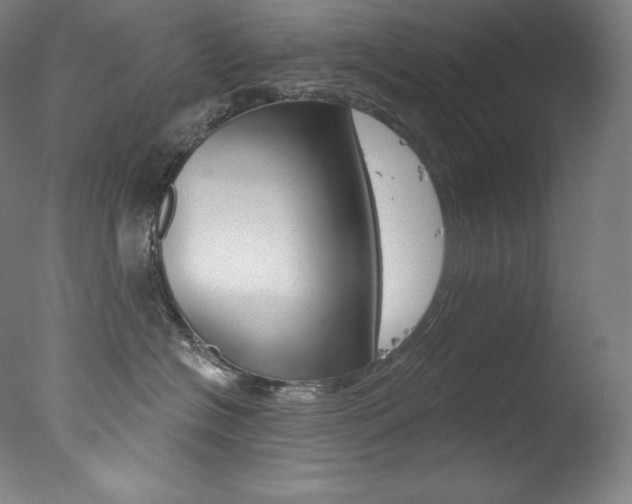 X0000078030574200610271045