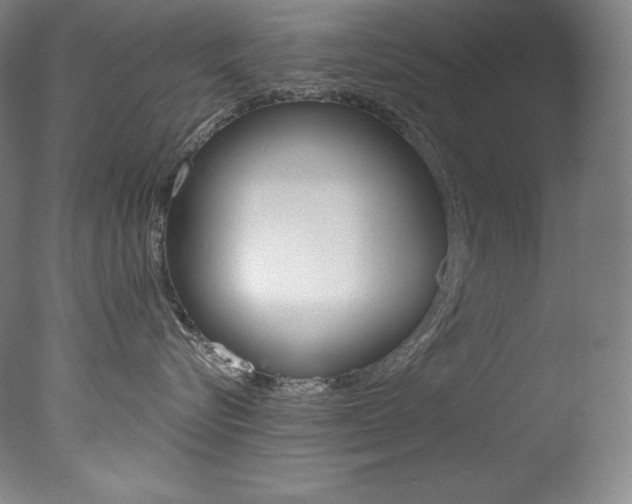 X0000078030576200610271045