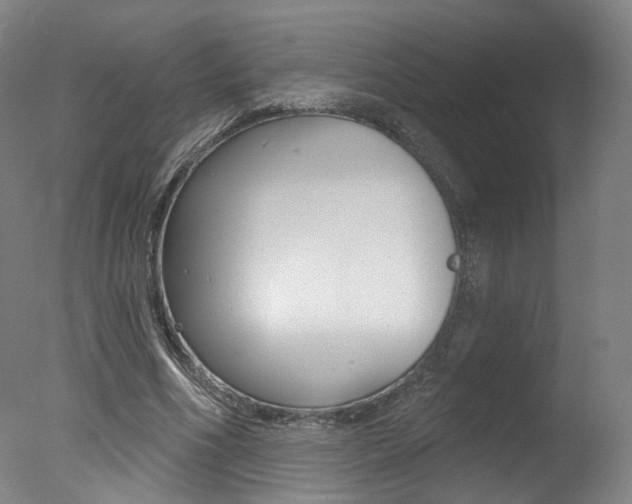 X0000078030586200610271044