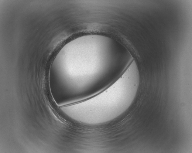 X0000078030588200610271044
