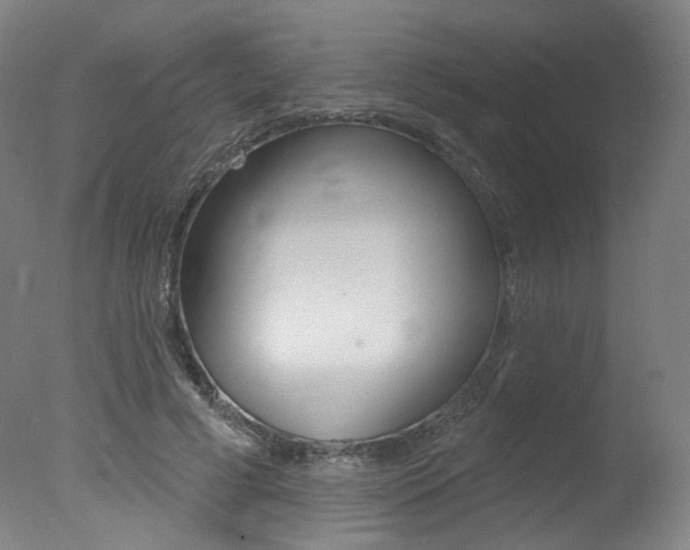 X0000078030593200610271044