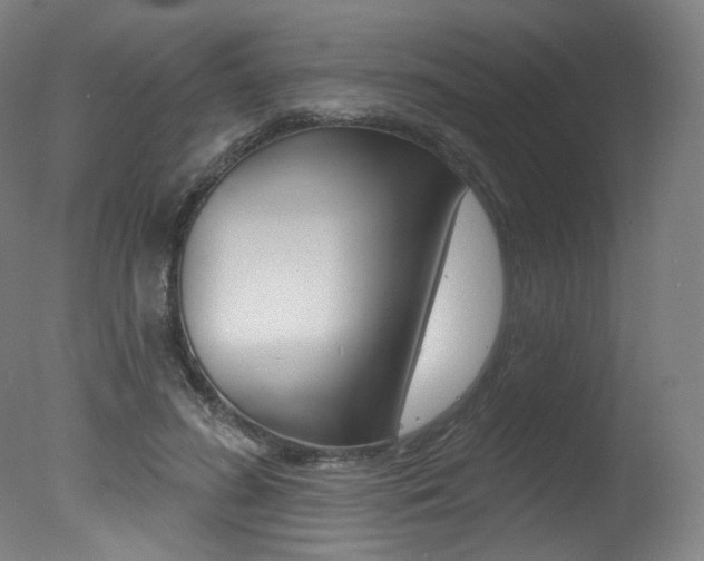 X0000078030596200610271044
