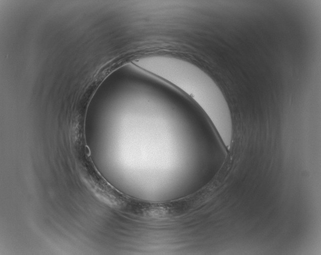 X0000078030600200610271044