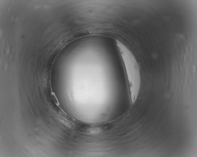 X0000078030604200610271044