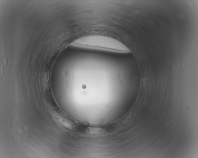 X0000078030605200610271044
