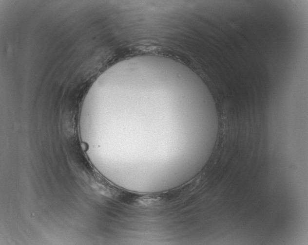 X0000078030606200610271044