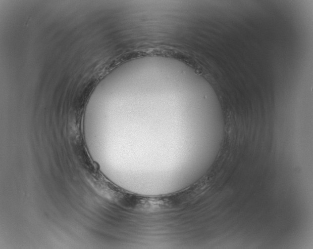 X0000078030607200610271044