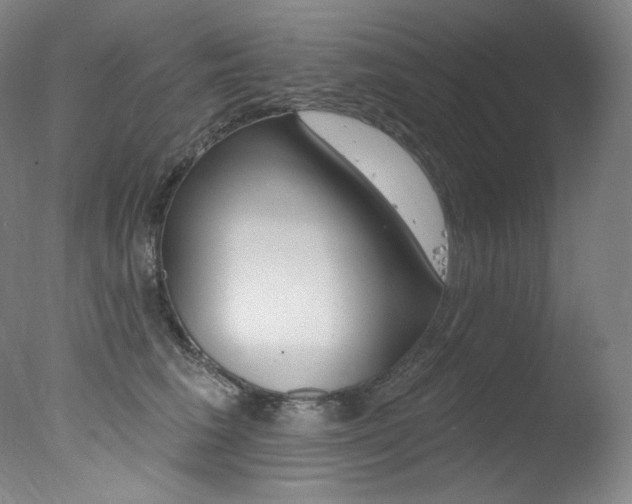 X0000078030613200610271044
