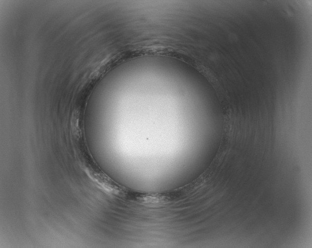 X0000078030615200610271044